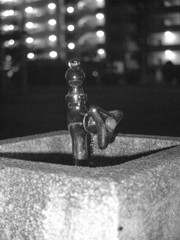 MoriNoMiyako monochrome (92)