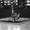 MoriNoMiyako monochrome (92)
