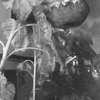 MoriNoMiyako monochrome (227)