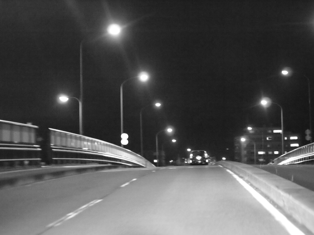 MoriNoMiyako monochrome (72)