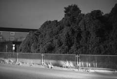 MoriNoMiyako monochrome (132)