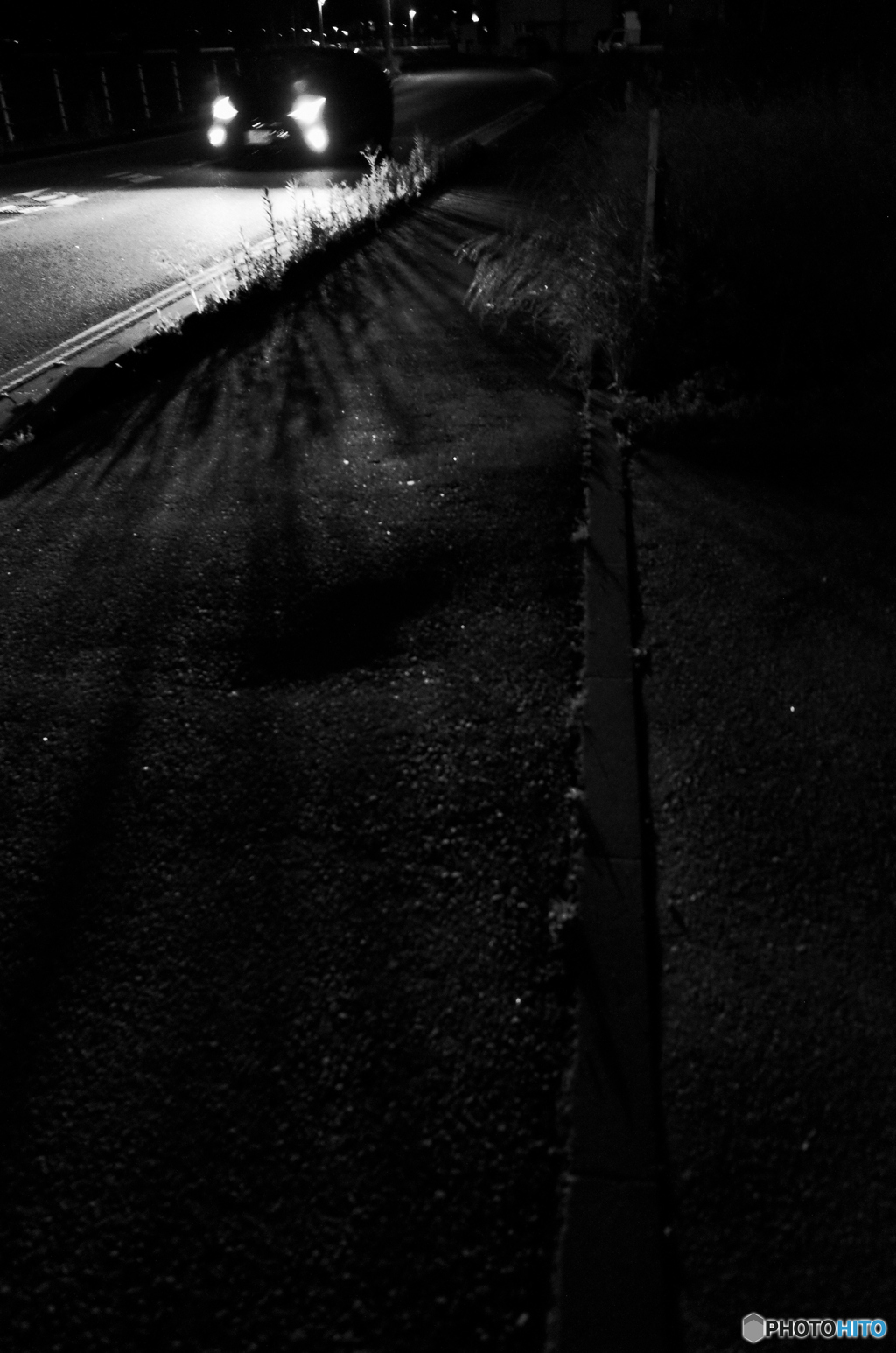 MoriNoMiyako monochrome(316)