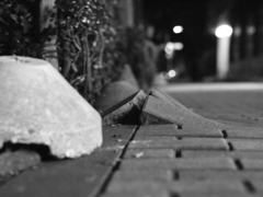 MoriNoMiyako monochrome (42)