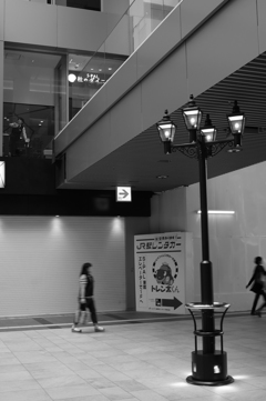 MoriNoMiyako monochrome (151)