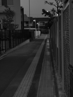 MoriNoMiyako monochrome (14)