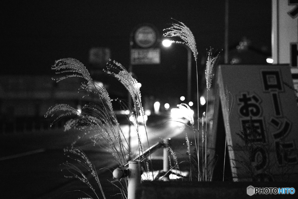 MoriNoMiyako monochrome(303)