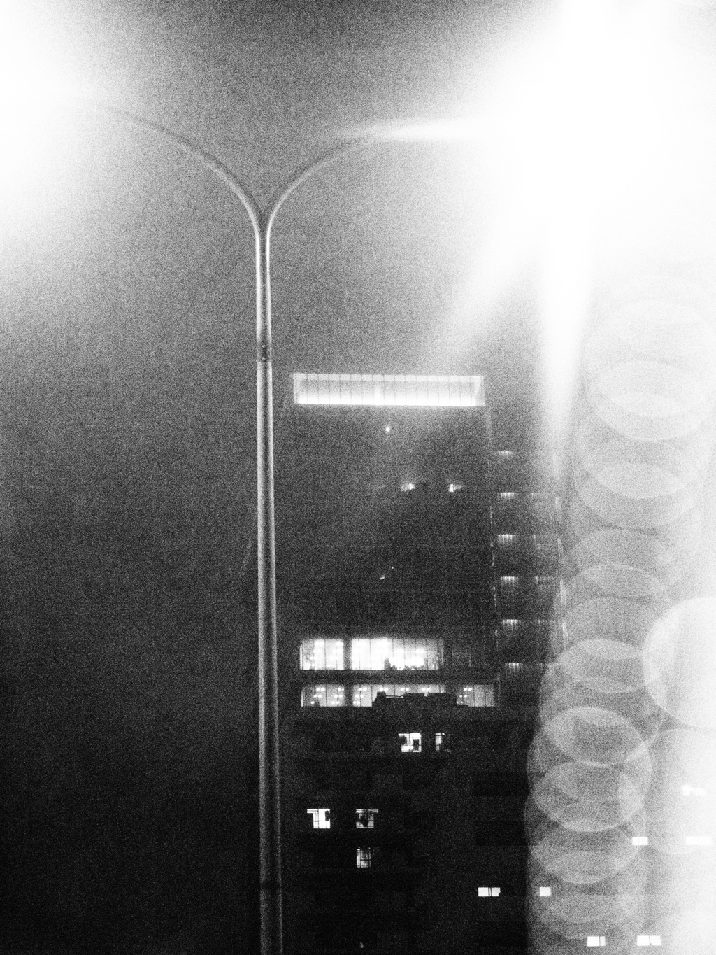 MoriNoMiyako monochrome (12)
