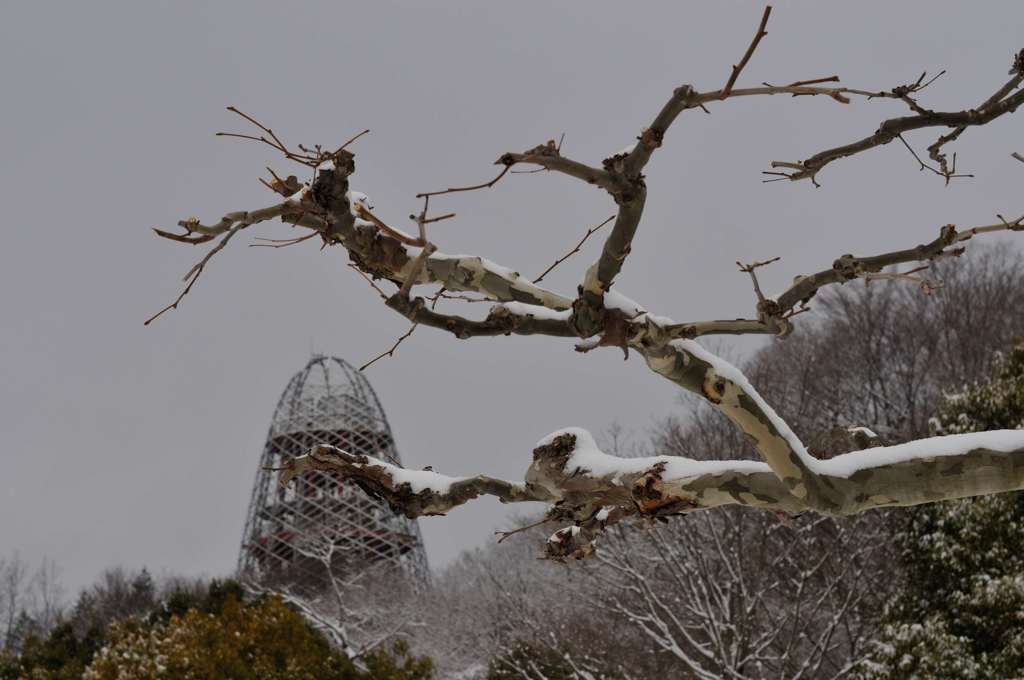 冬の公園