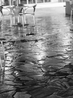 MoriNoMiyako monochrome (49)