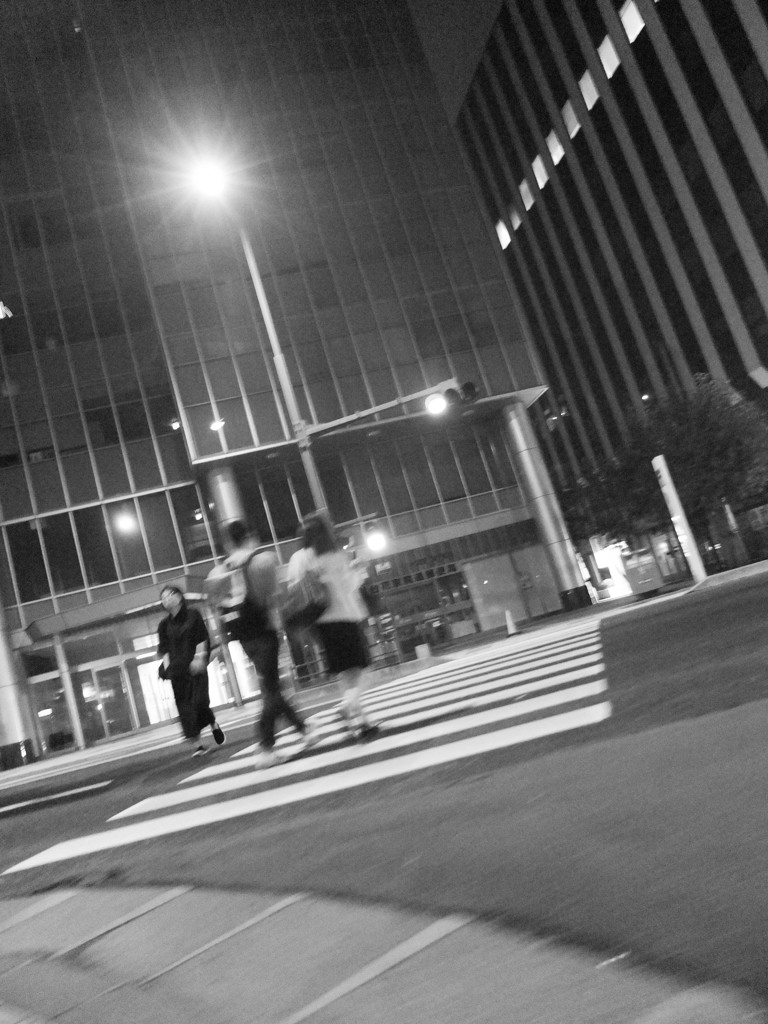 MoriNoMiyako monochrome (107)