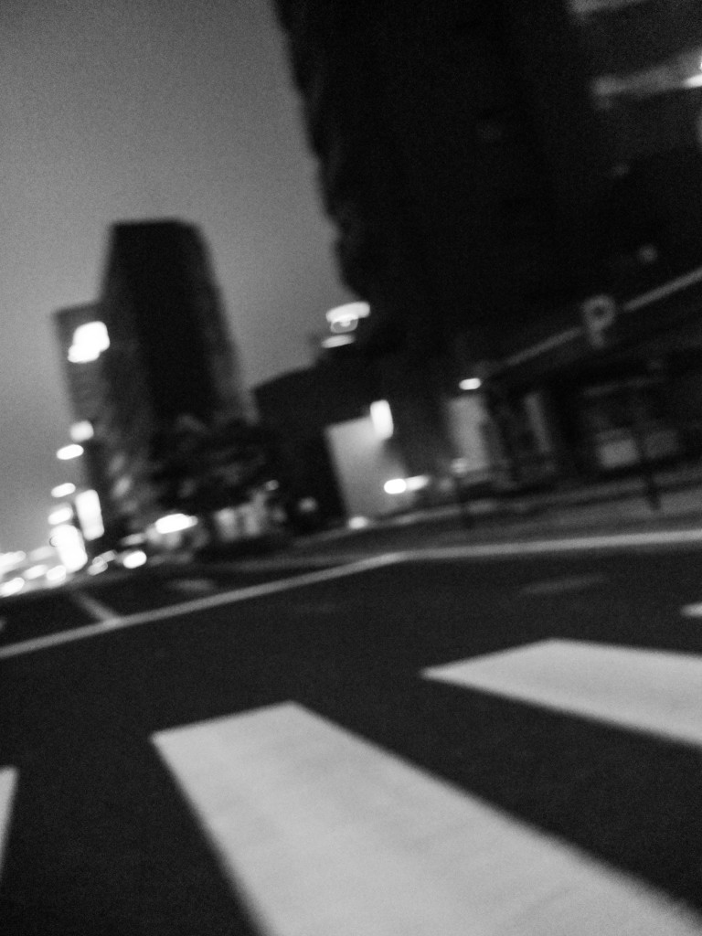 MoriNoMiyako monochrome (111)