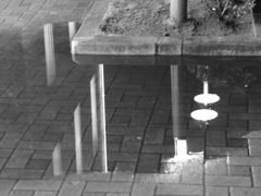 MoriNoMiyako monochrome (46)