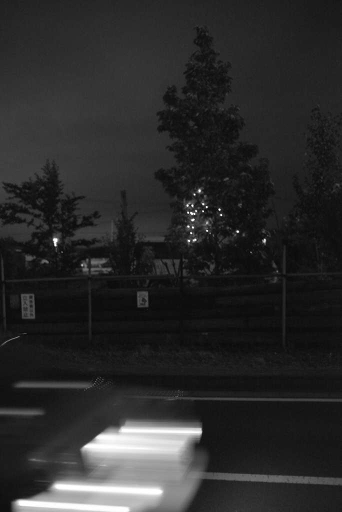 MoriNoMiyako monochrome (129)
