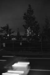 MoriNoMiyako monochrome (129)