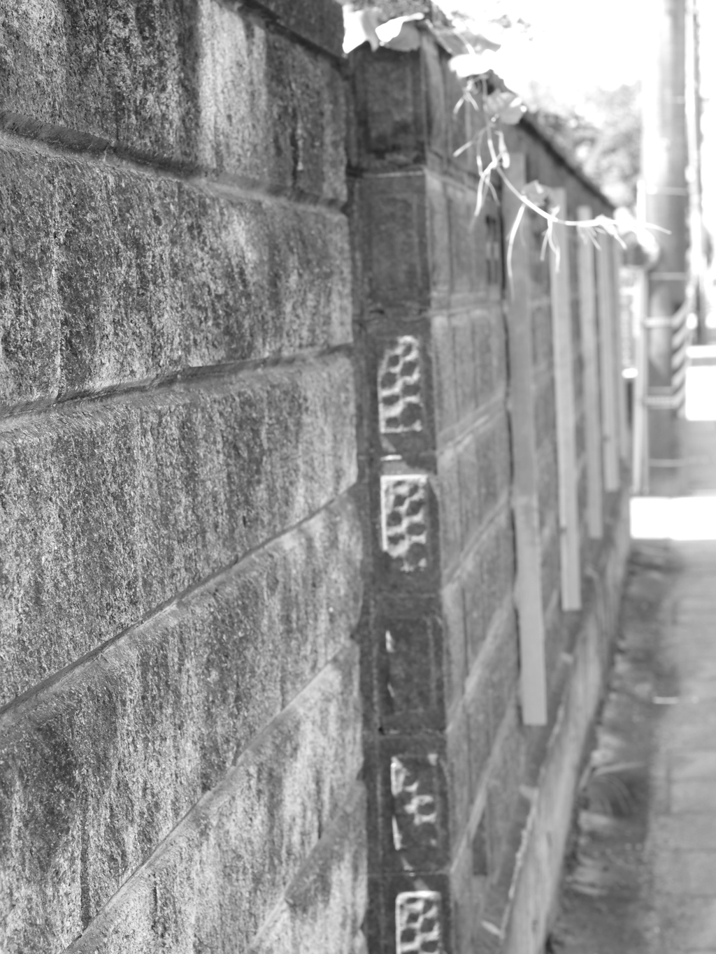 MoriNoMiyako monochrome (73)