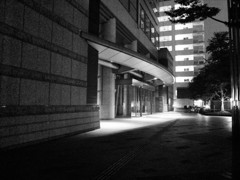 MoriNoMiyako monochrome (112)