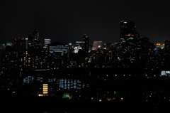 仙台城跡からの夜景