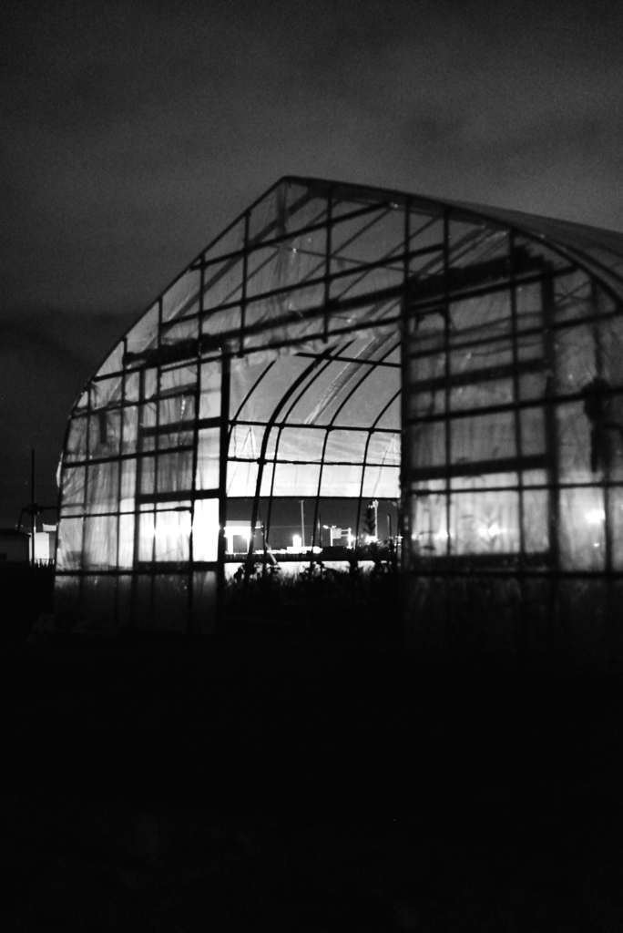MoriNoMiyako monochrome (139)