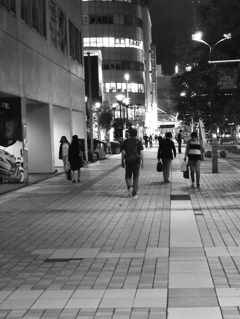 MoriNoMiyako monochrome (60)