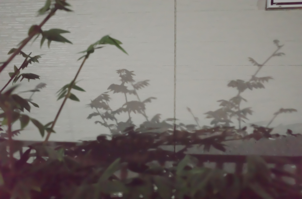 街スナップ #102