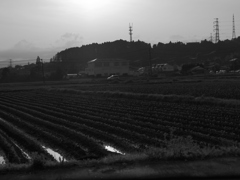 MoriNoMiyako monochrome (13)