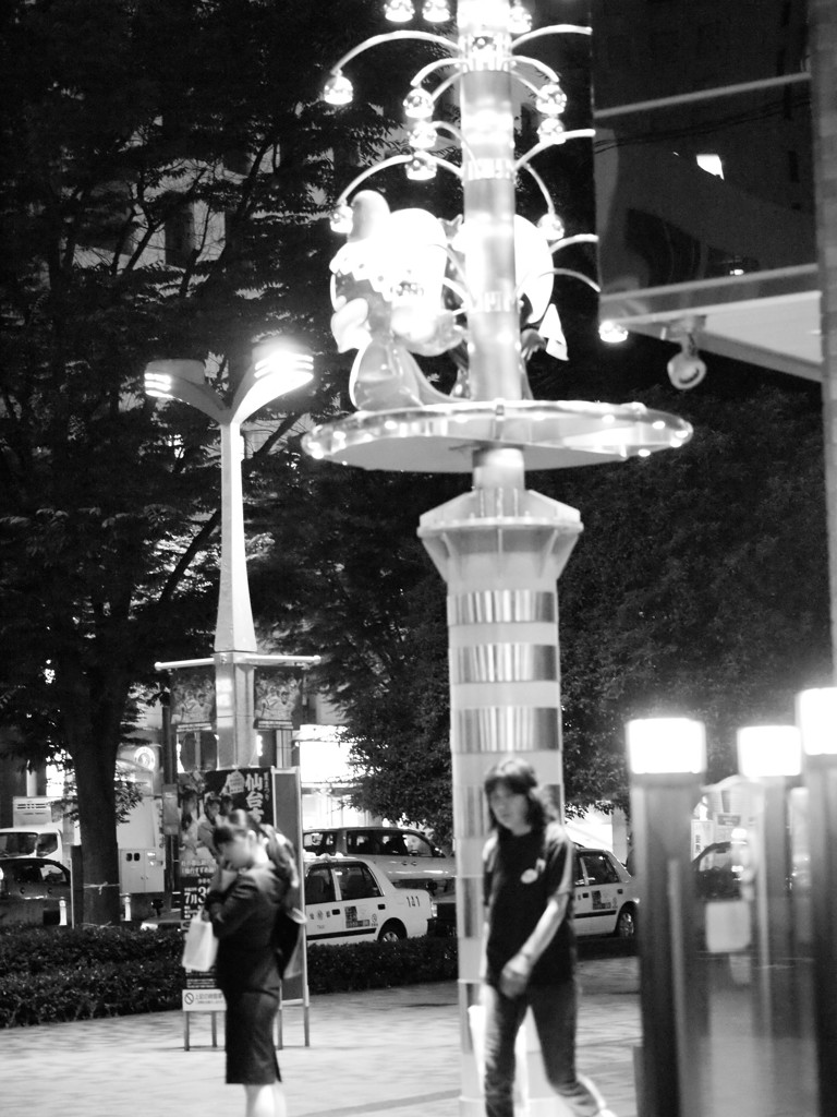 MoriNoMiyako monochrome (100)