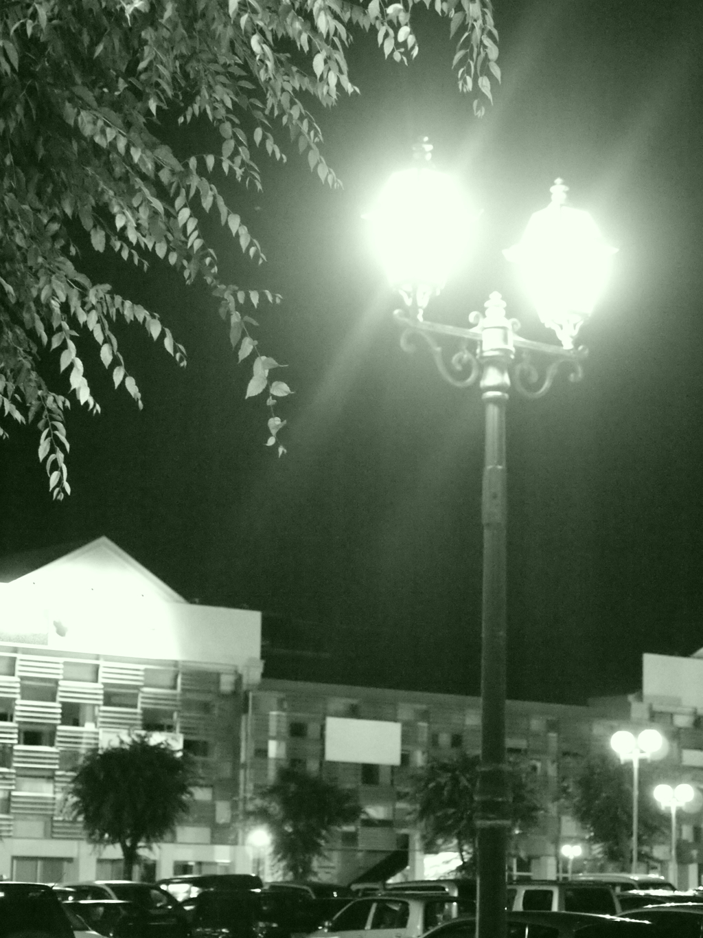 MoriNoMiyako monochrome (28)