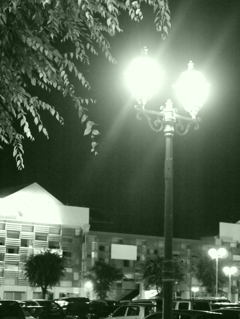 MoriNoMiyako monochrome (28)