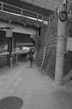 MoriNoMiyako monochrome (217)