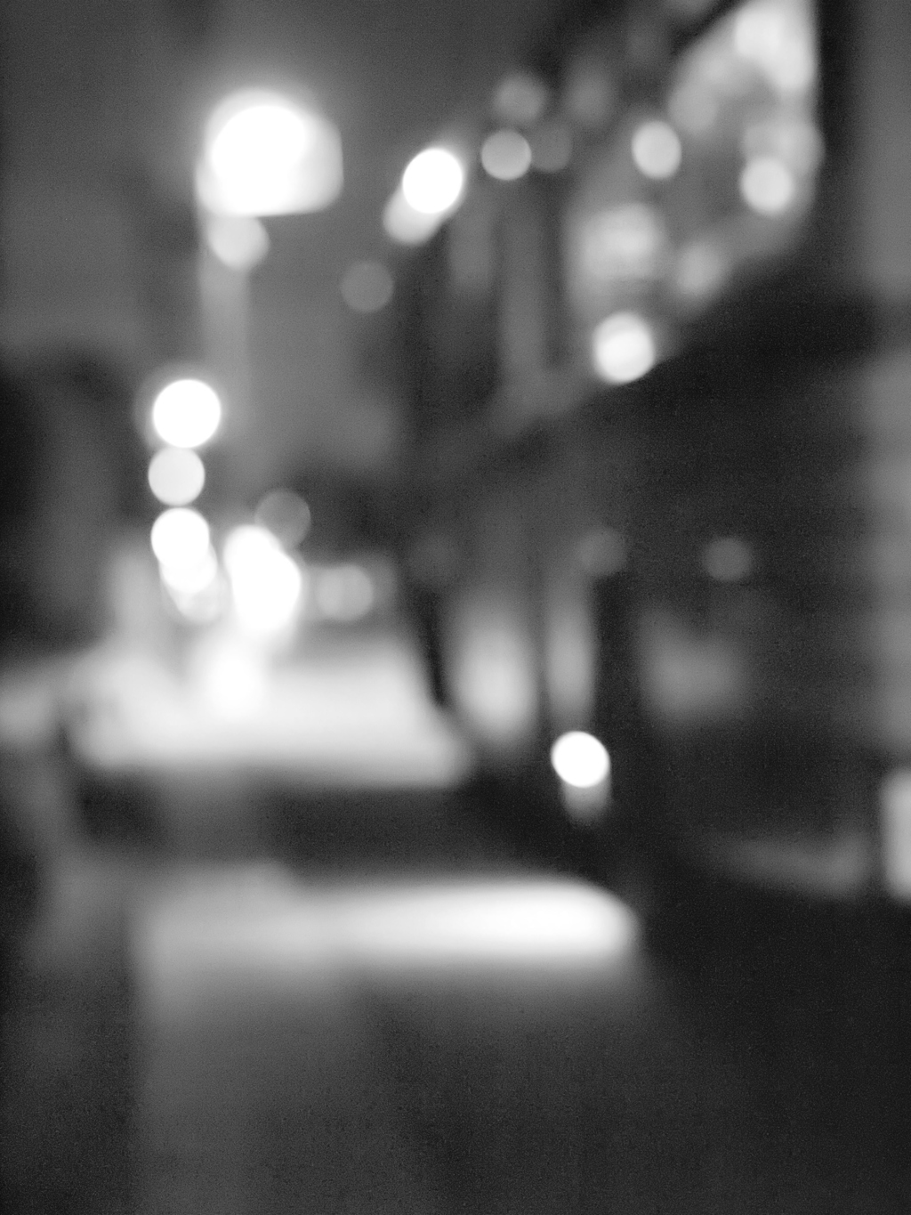 MoriNoMiyako monochrome (79)