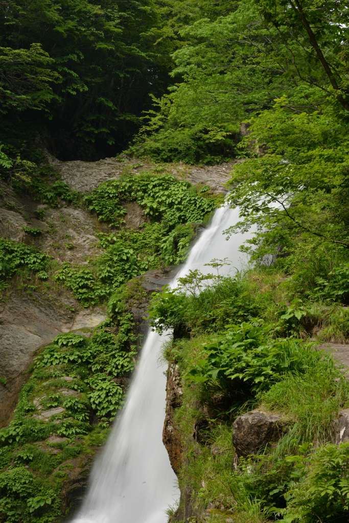初夏の秋保大滝