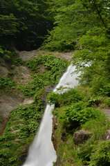 初夏の秋保大滝