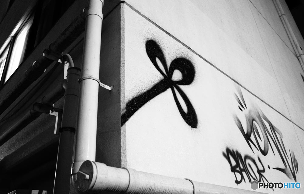 MoriNoMiyako monochrome (230)