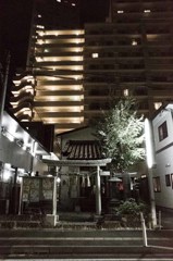 街スナップ #95