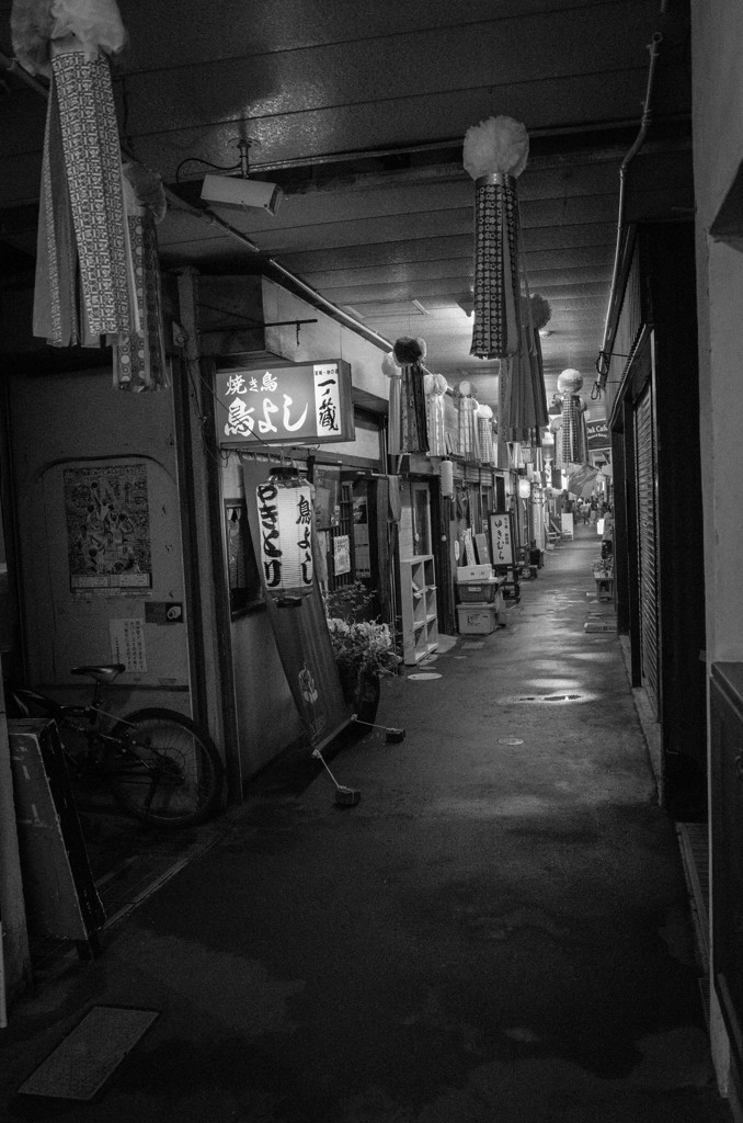 MoriNoMiyako monochrome (190)