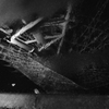 MoriNoMiyako monochrome (84)