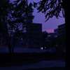 錦町公園②