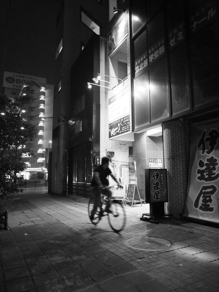 MoriNoMiyako monochrome (108)