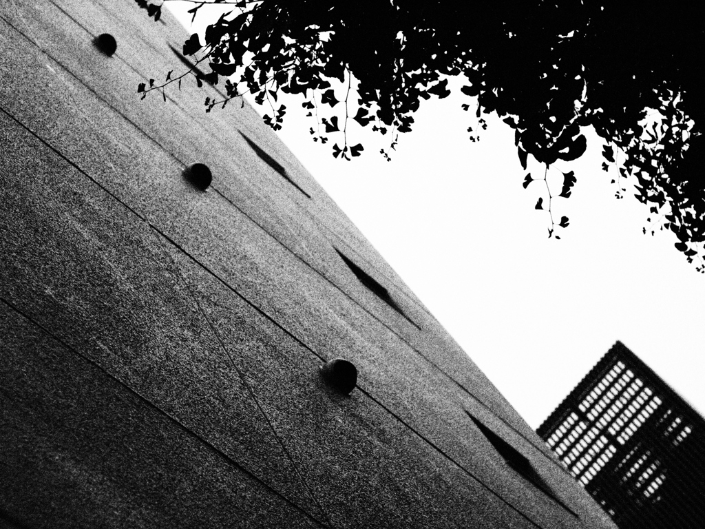 MoriNoMiyako monochrome (3)