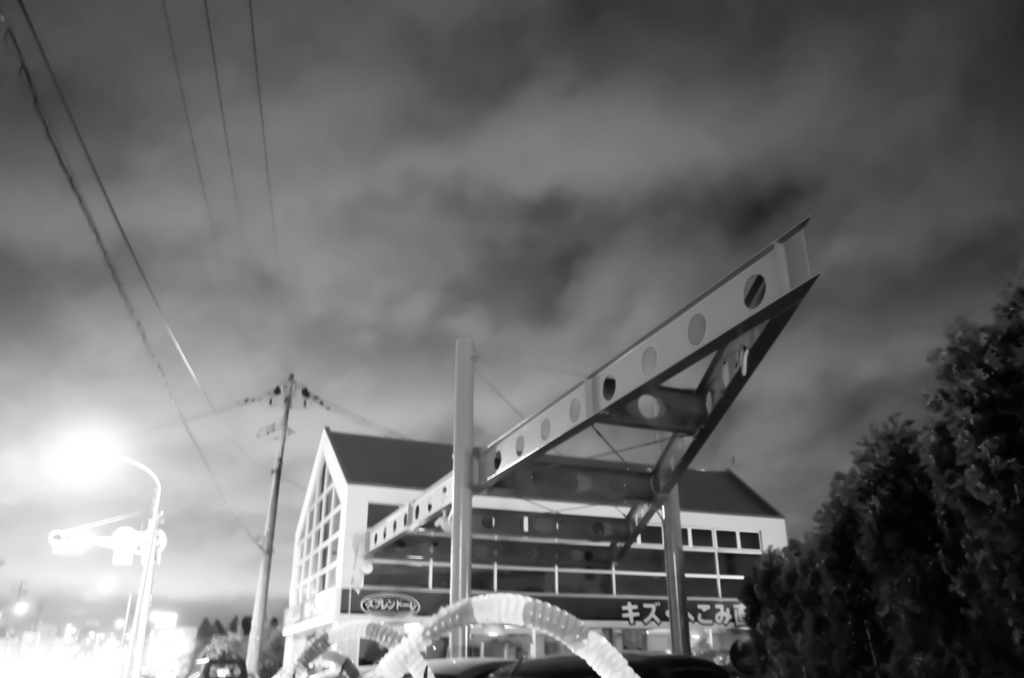 MoriNoMiyako monochrome (188)