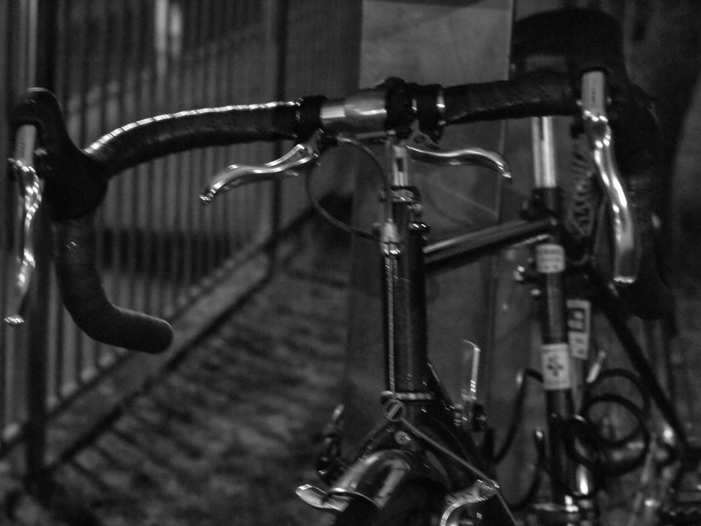 MoriNoMiyako monochrome (97)