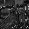 MoriNoMiyako monochrome (97)