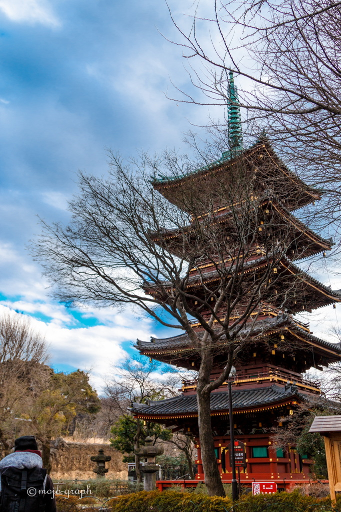 旧寛永寺五重塔