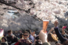 「令和」に乾杯