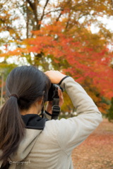 紅葉を撮ろう