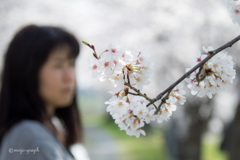彩