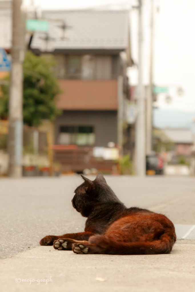 街を見守る