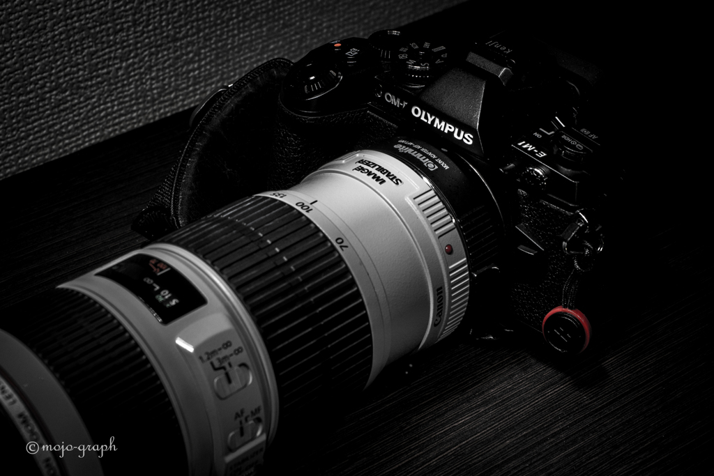 マウントアダプター購入