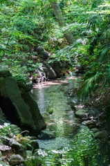 小石川後楽園③