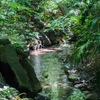 小石川後楽園③